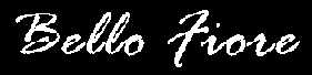 Bello Fiore
